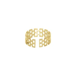 Femme Luzaka Bagues<Bague Canisse acier doré or