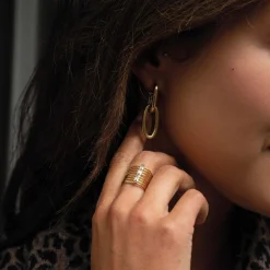 Femme Luzaka Boucles<Boucles Edwige acier doré or