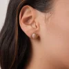 Femme Luzaka Boucles<Boucles Lyka acier doré or pierre Rhodonite