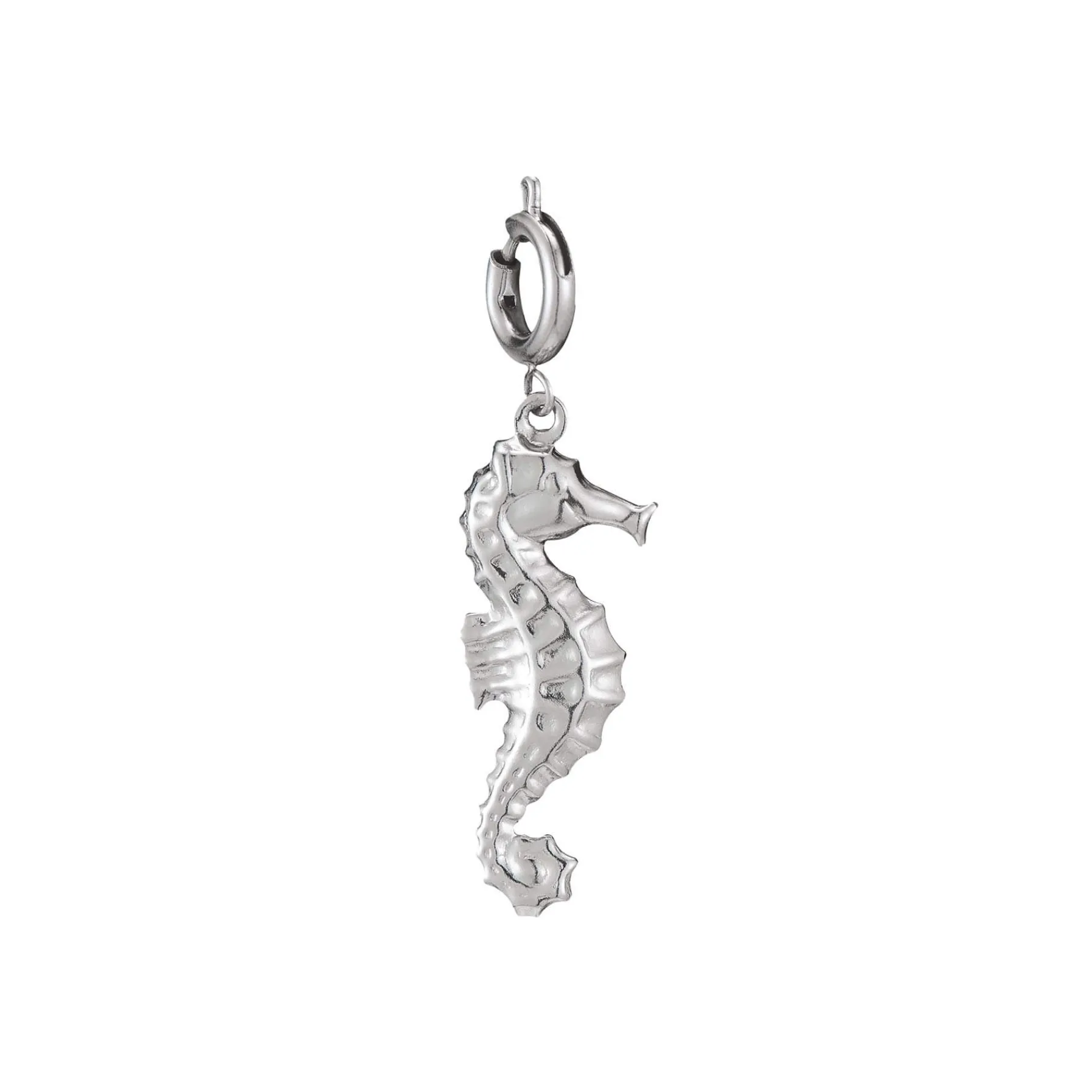 Luzaka Luzacharms<Charm acier Hypocampe