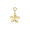 Luzaka Luzacharms<Charm Floria acier doré or