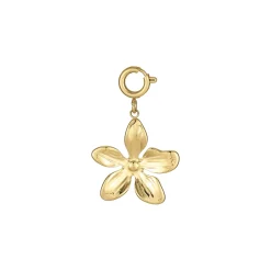 Luzaka Luzacharms<Charm Floria acier doré or
