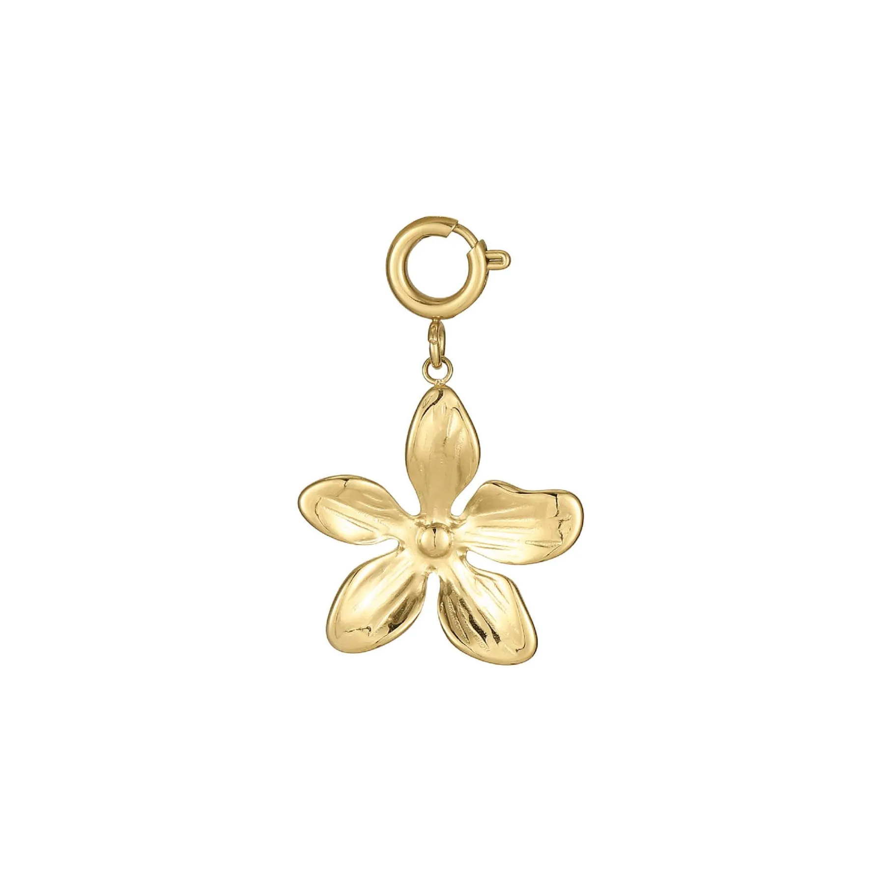 Luzaka Luzacharms<Charm Floria acier doré or
