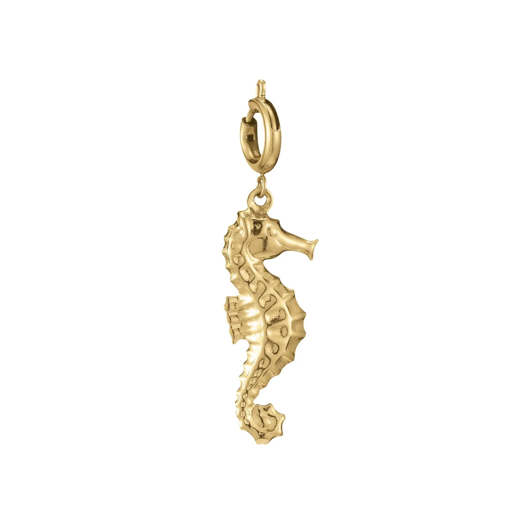 Luzaka Luzacharms<Charm hypocampe acier doré or